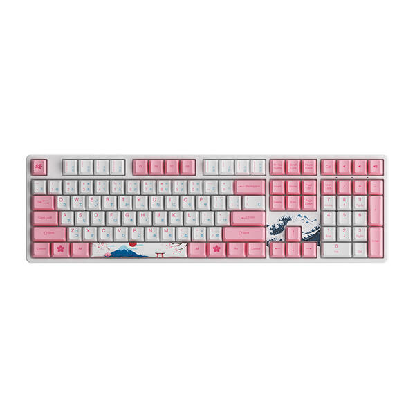 Akko Full-Sized Keyboard (a pink one...)